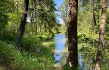 1139,1143 Jellison Road, Columbia Falls