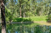 1139,1143 Jellison Road, Columbia Falls