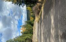 499 Haskill Ranch Road, Kila