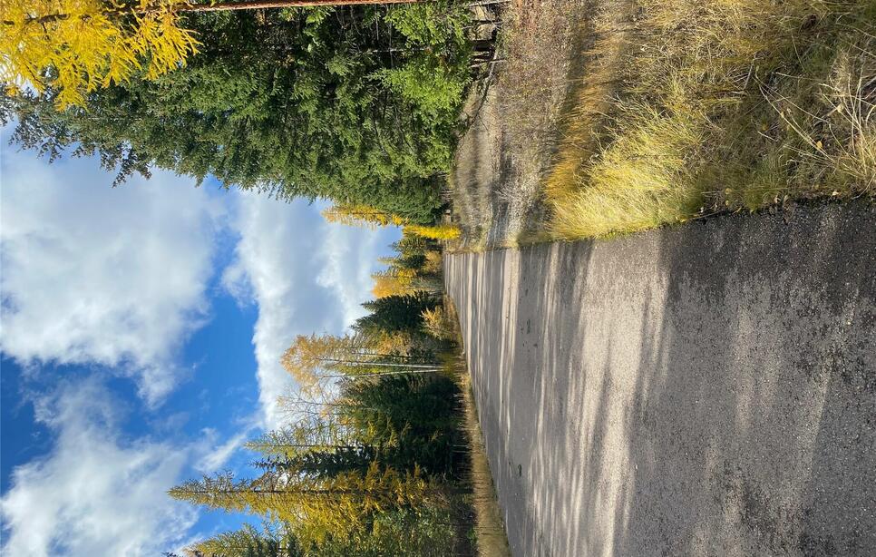 499 Haskill Ranch Road, Kila