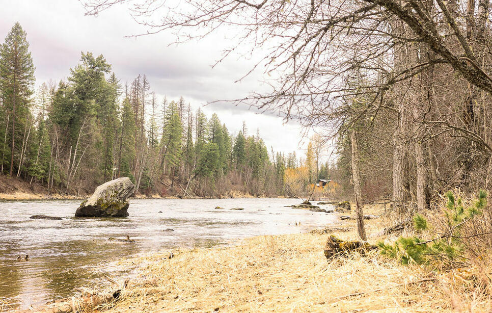 Nhn Watchman Way, Bigfork