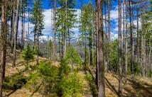 1335 Lion Mountain Drive 90 Irish Bend Lane, Whitefish