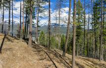 1335 Lion Mountain Drive 90 Irish Bend Lane, Whitefish