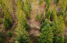 2001 Browns Meadow Road, Kila