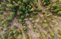 2001 Browns Meadow Road, Kila