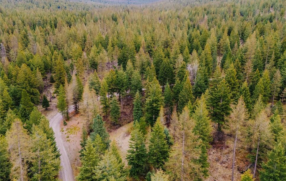 2001 Browns Meadow Road, Kila