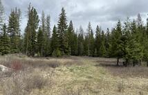 52 Haskill Ranch Road 8.61 Acres, Kila