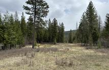 52 Haskill Ranch Road 8.61 Acres, Kila