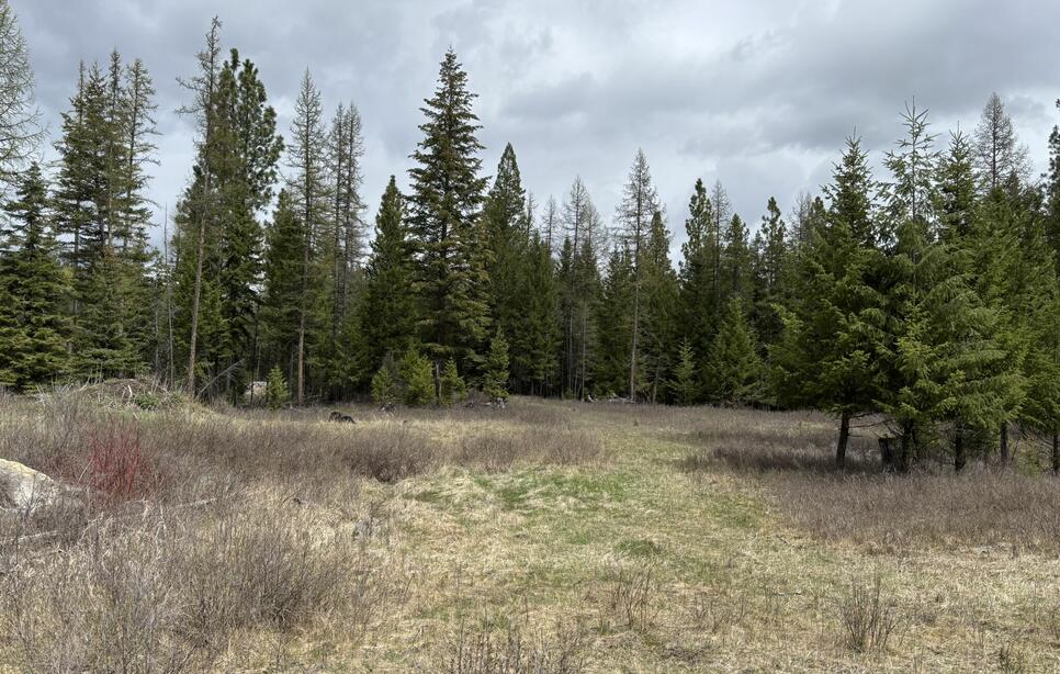 52 Haskill Ranch Road 8.61 Acres, Kila