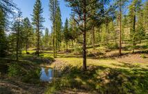 3605 Hubbart Dam Road, Marion