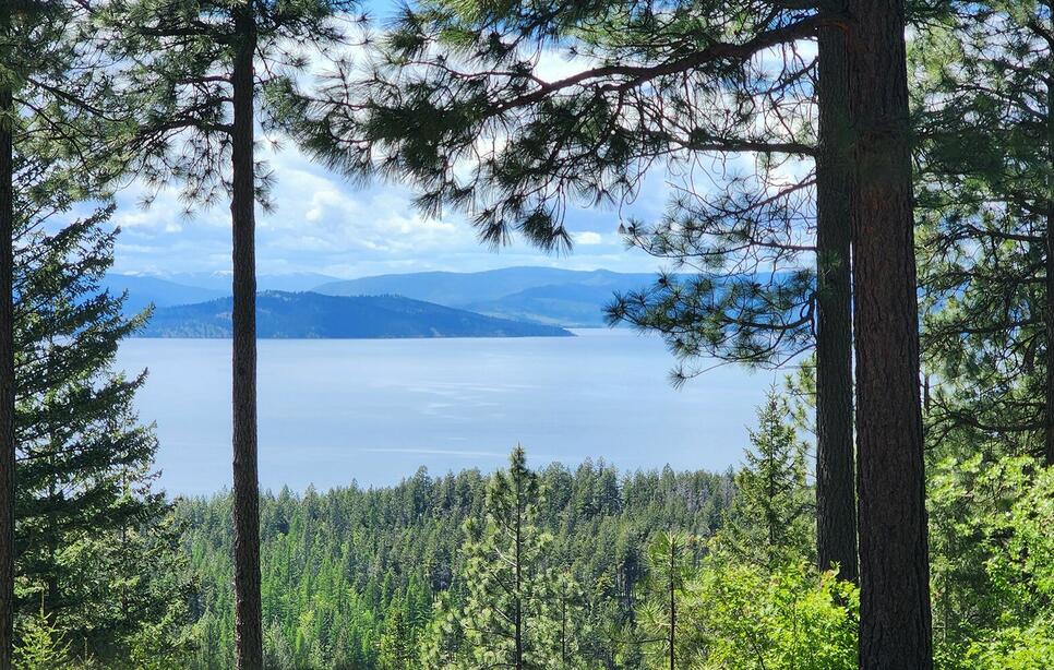 31683 Lake To Sky Drive, Bigfork