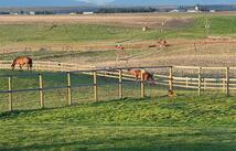 123 Canola Road, Kalispell