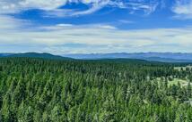 558 Bald Rock Road, Kalispell