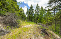 64 Lone Wolf Trail, Lakeside