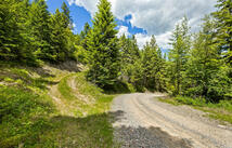64 Lone Wolf Trail, Lakeside