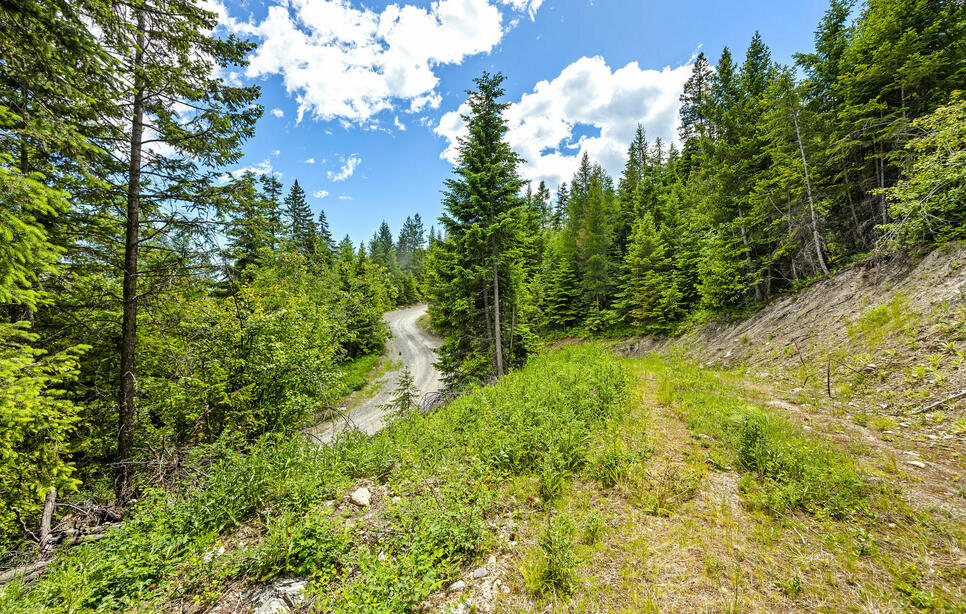 64 Lone Wolf Trail, Lakeside