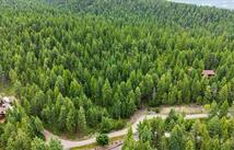 139 Little Mountain Lane, Whitefish