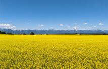 1000 Mt Hwy 82, Somers