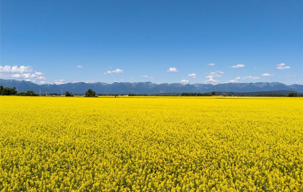 1000 Mt Hwy 82, Somers