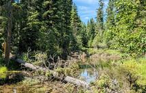 1550 Lost Creek Drive, Kalispell