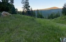 108 Conley Court Lot 17 - 89.44 Acres, Kila