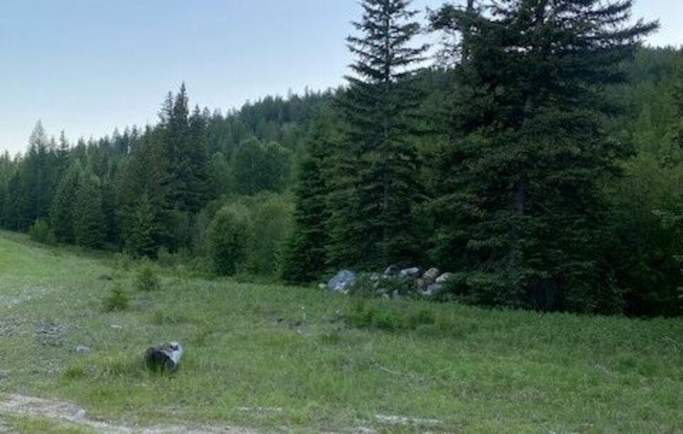 108 Conley Court Lot 17 - 89.44 Acres, Kila