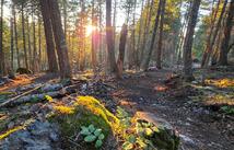 244 Bench Drive, Kalispell