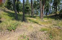 Nhn Westside Drive Polson, Polson
