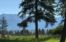 Lot 2 Black Lake Road, Rexford