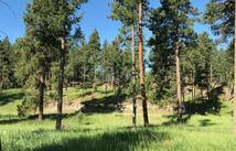 Lot 2 Black Lake Road, Rexford