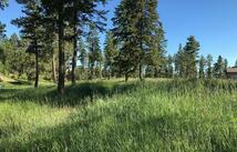 Lot 2 Black Lake Road, Rexford