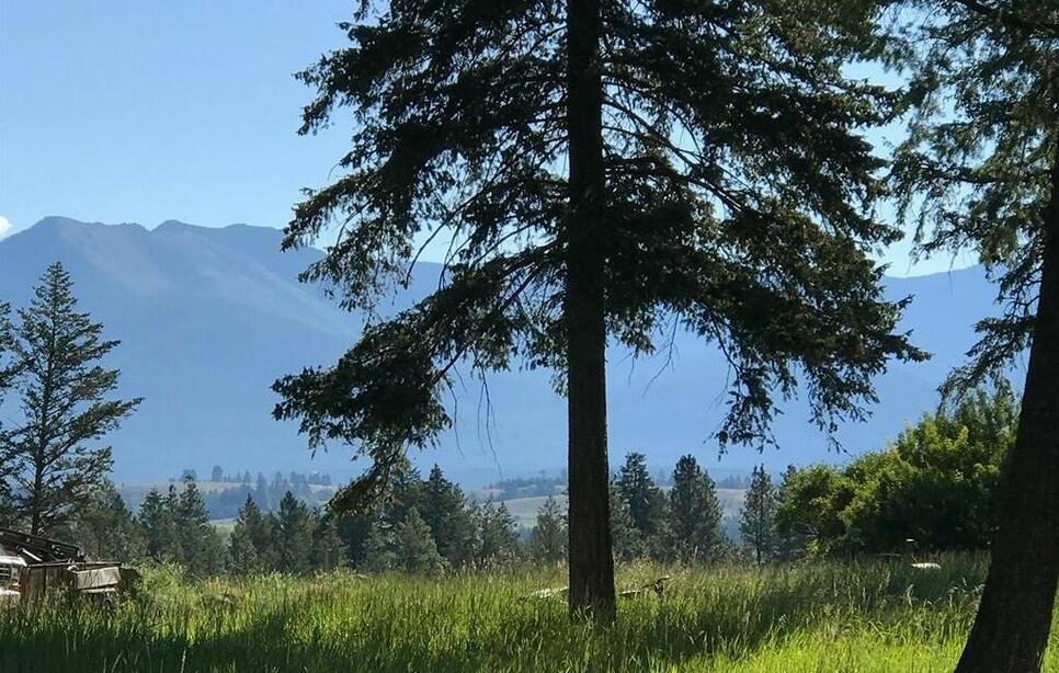 Lot 2 Black Lake Road, Rexford