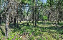 Lot 4 Forest Ridge Road, Fortine