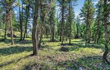 Lot 4 Forest Ridge Road, Fortine