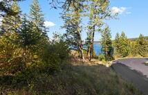142 Whisper Ridge Drive, Bigfork