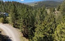 31009 Canyon View Place, Polson