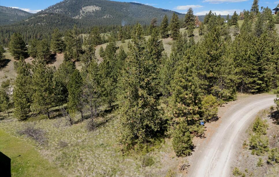31009 Canyon View Place, Polson