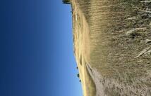 35716 Hills Drive, Polson