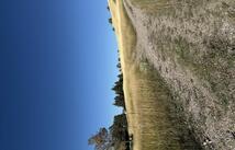 35716 Hills Drive, Polson