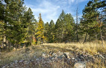 147 Bjork Drive, Bigfork