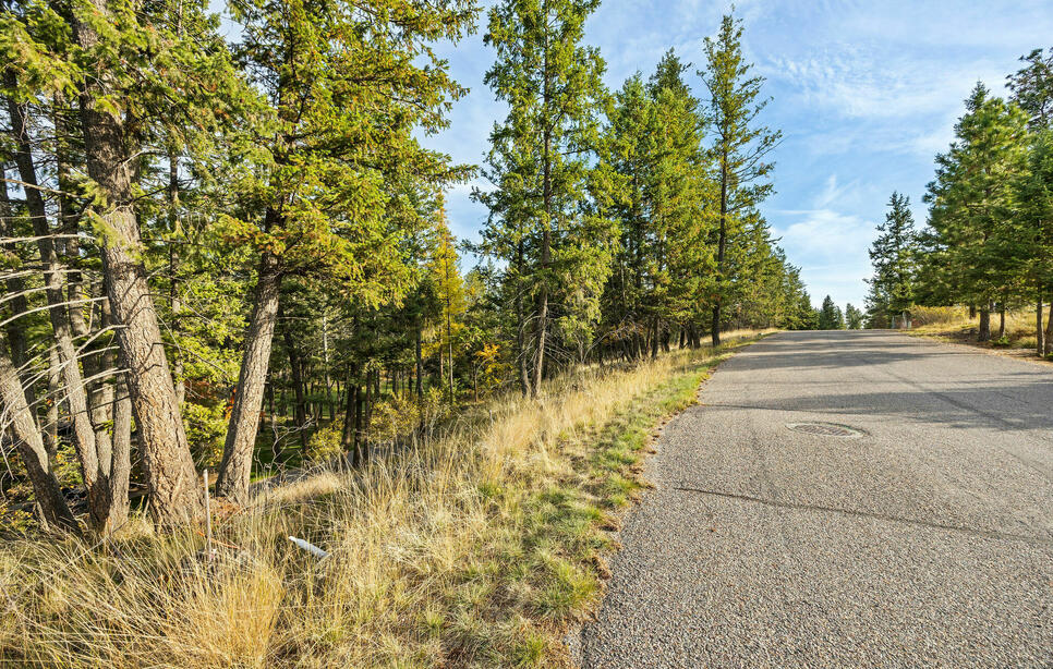 147 Bjork Drive, Bigfork