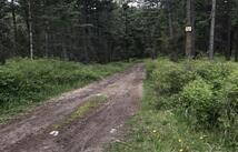 437 Buffalo Trail, Somers