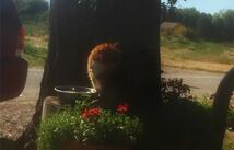 413 A Street, Hot Springs