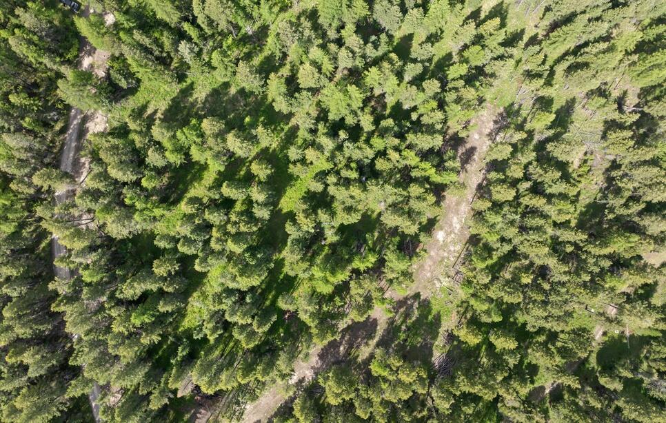 439 Buffalo Trail, Somers