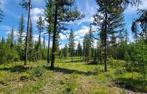 Shay Lake Road, Bigfork