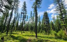 Shay Lake Road, Bigfork