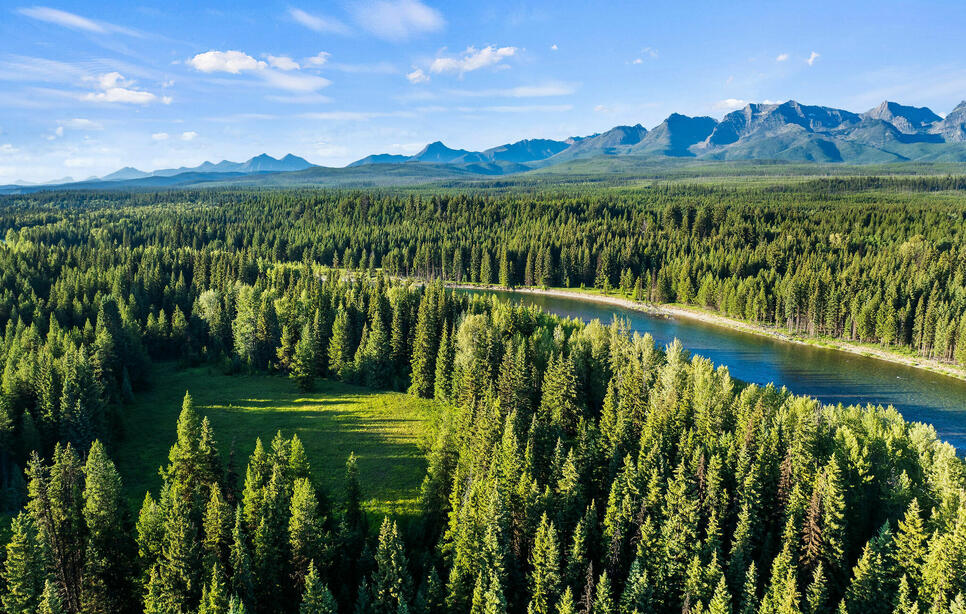 Nhn North Fork Road, Polebridge