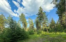 148 Tiny Acres Trail, Rexford