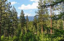 148 Tiny Acres Trail, Rexford