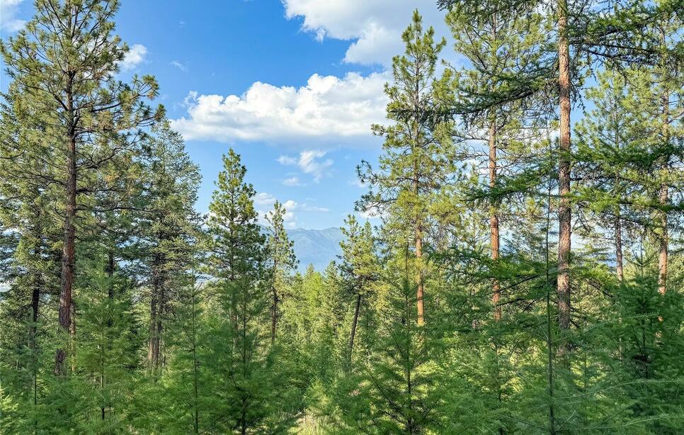 148 Tiny Acres Trail, Rexford